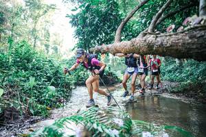 BIB: 
                            <button type="button" onclick="openModal(25441203)" class="btn btn-primary btn-sm float-right btn-popup" data-toggle="modal" data-target=".modal-high-quality">
                        <i class="fas fa-shopping-cart"></i> Add to Cart
                    </button>
                                            <button type="button" onclick="isThisMe(25441203, true)" class="btn btn-success btn-sm float-right btn-popup btn-isme hidden" data-toggle="tooltip" data-placement="bottom" title="นี่คือรูปของคุณใช่ไหม คลิกที่นี่เพื่อเอาเข้าอัลบั้ม">
                        <i class="fas fa-plus"></i> Add to album
                    </button>
                    <button type="button" onclick="isThisMe(25441203, false)" class="btn btn-warning btn-sm float-right btn-popup btn-isnotme hidden">
                        <i class="fas fa-ban"></i> Remove from album
                    </button>